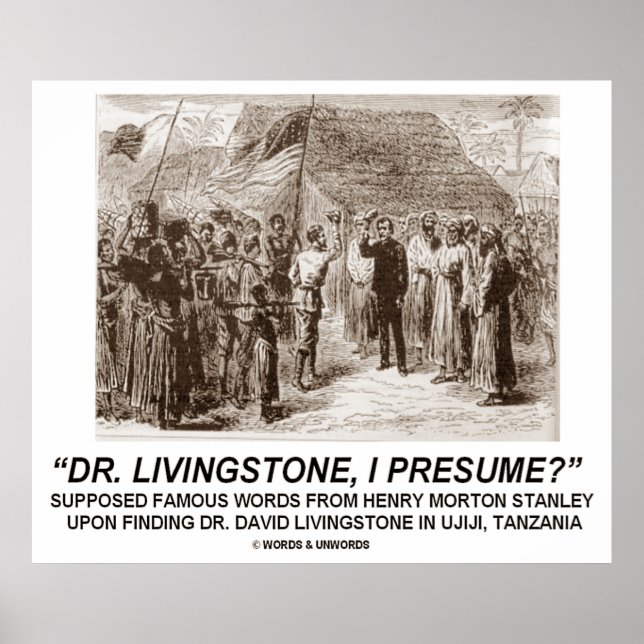 Poster Dr Livingstone, je présume ? (Devant)