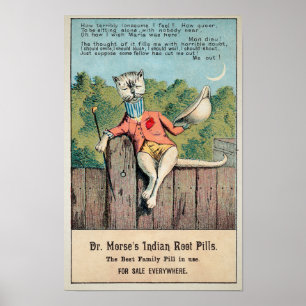 Poster Dr Morse Cat Carte de commerce no 2 (de 4)