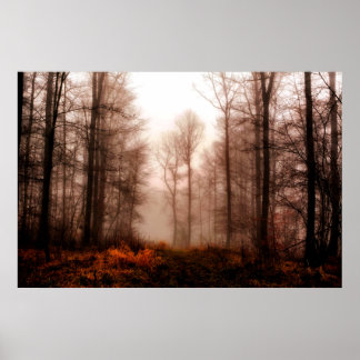 Poster Drac red foggy winter snowless forest