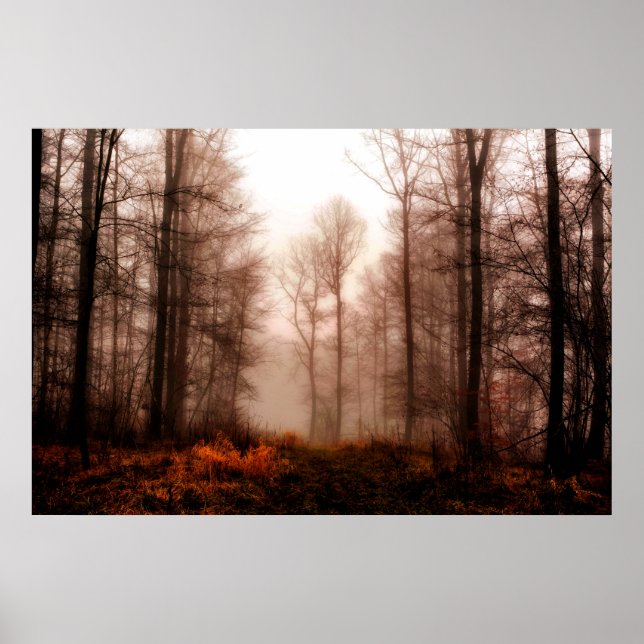 Poster Drac red foggy winter snowless forest (Devant)