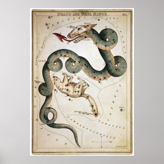 Poster Draco et Ursa Minor (Devant)