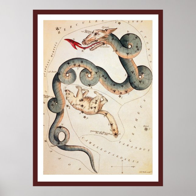 Poster Draco et Ursa Minor par Sidney Hall (Devant)