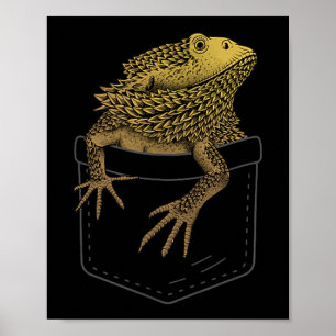 Poster Dragon Arte Pour Hommes Femmes Enfants Beared Drag