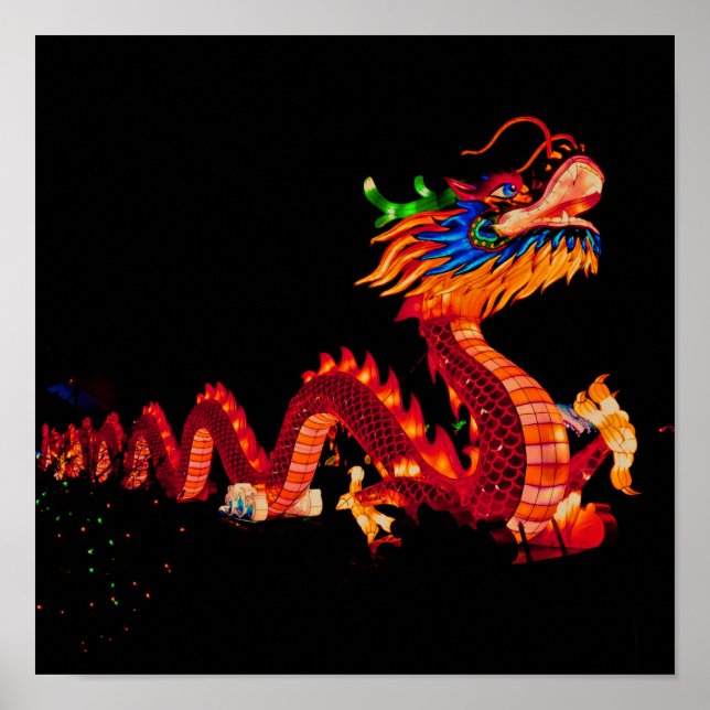 Poster Dragon de défilé chinois (Devant)
