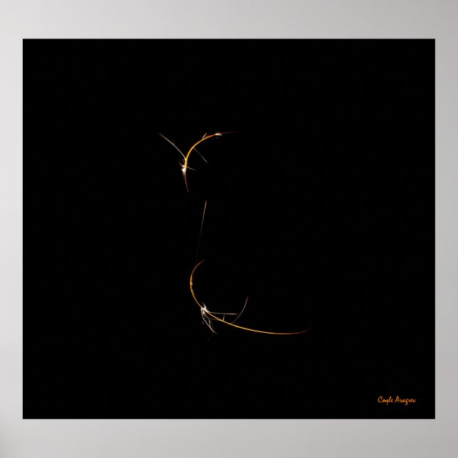 Poster Dragon dormant (Devant)