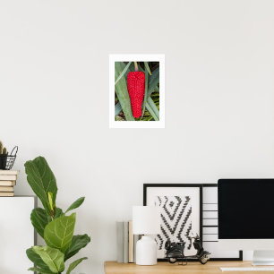 Poster Dragon Lily Red Seed Head Botanique