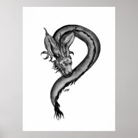 Dragon noir et blanc