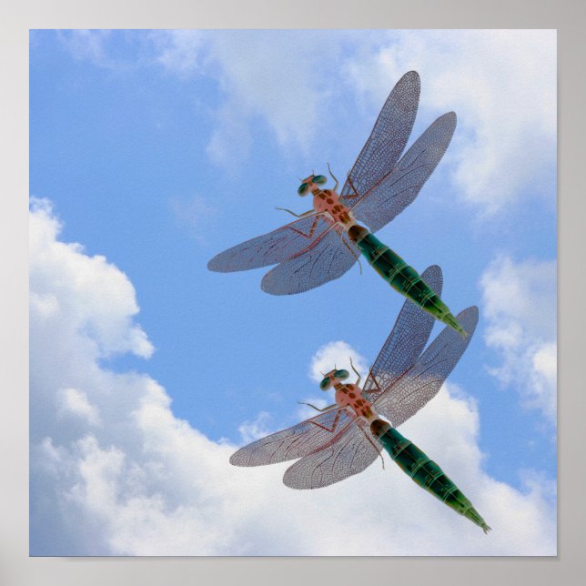 Poster Dragonflies Ciel Bleu Et Nuages Blancs (Devant)