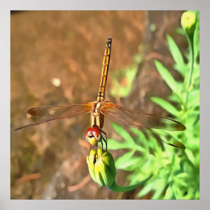 Poster Dragonfly Artistique Reposant Sur Une Tête De Fleu