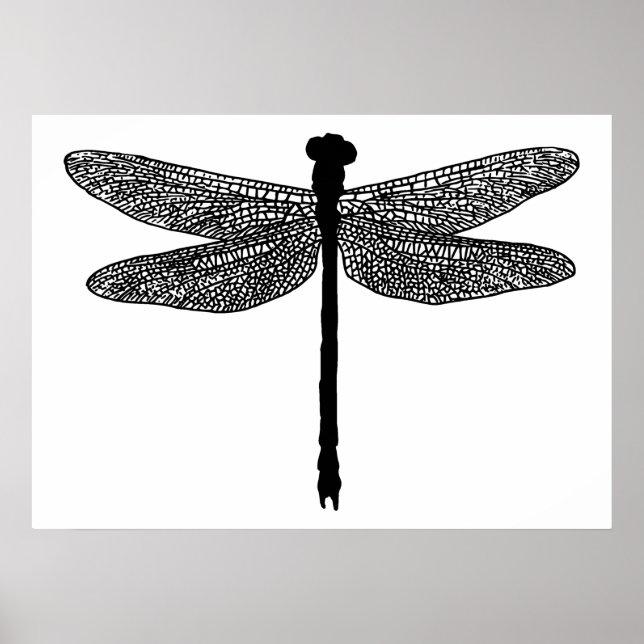 Poster dragonfly Bug Insect nature Silhouette art (Devant)