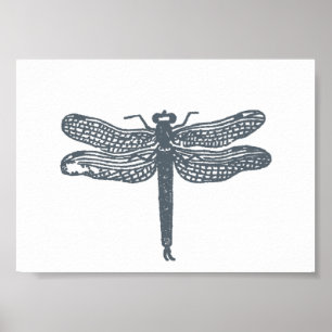 Poster Dragonfly Greys Print