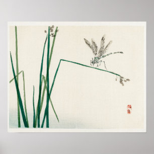 Poster Dragonfly on Bulrush leaf par Kōno Bairei (1844-18