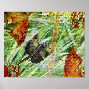 Poster Dragonfly, s'envoler