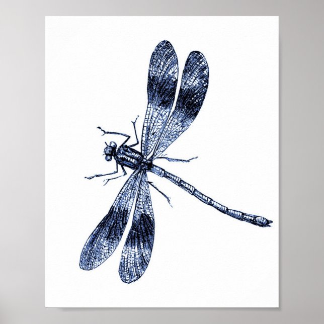 Poster Dragonfly vintage - Bleu (Devant)