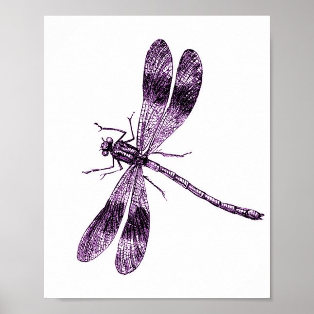 Poster Dragonfly vintage - Rose (Devant)