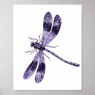 Poster Dragonfly vintage - Violet