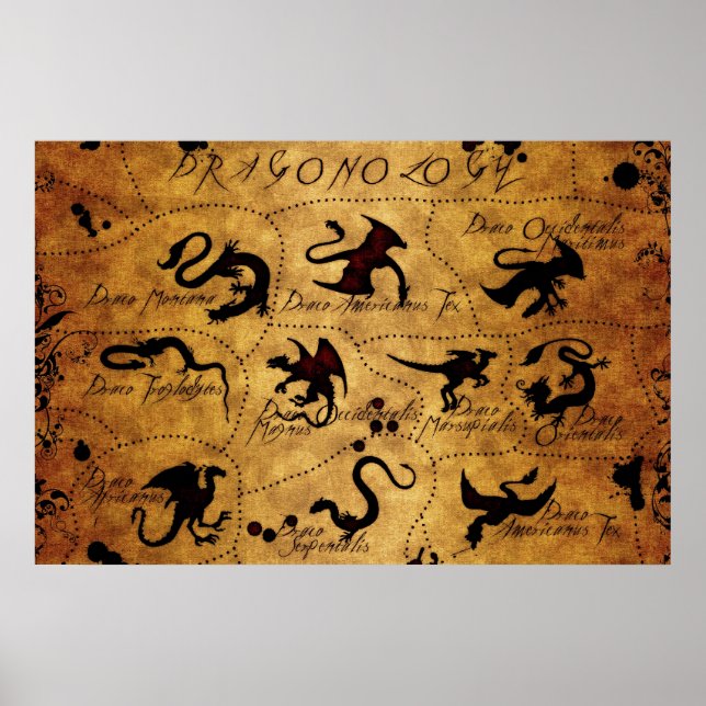 Poster Dragonologie (Devant)