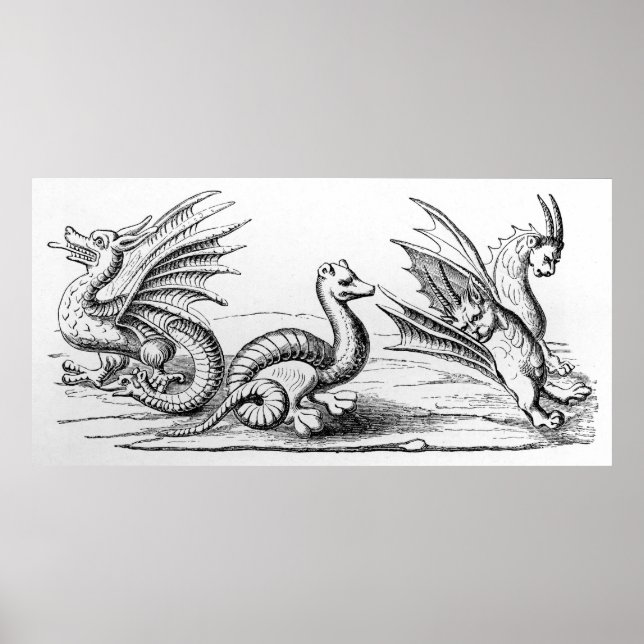 Poster Dragons (Devant)