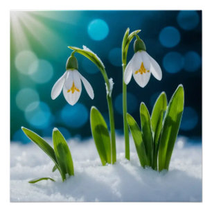 Poster Dragons de neige #1 Wall Art