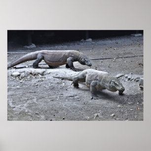 Poster Dragons de patrouille