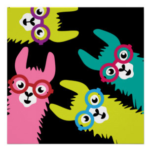 Poster Drama Llama Camélid coloré