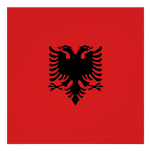 Poster Drapeau albanais avec aigle à deux têtes