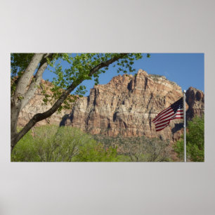 Poster Drapeau américain dans le parc national de Zion I