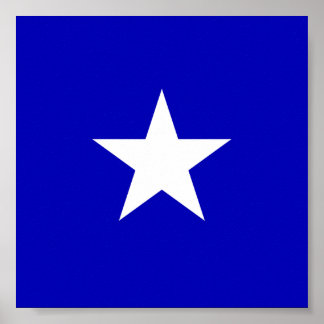 Poster Drapeau bleu Bonnie