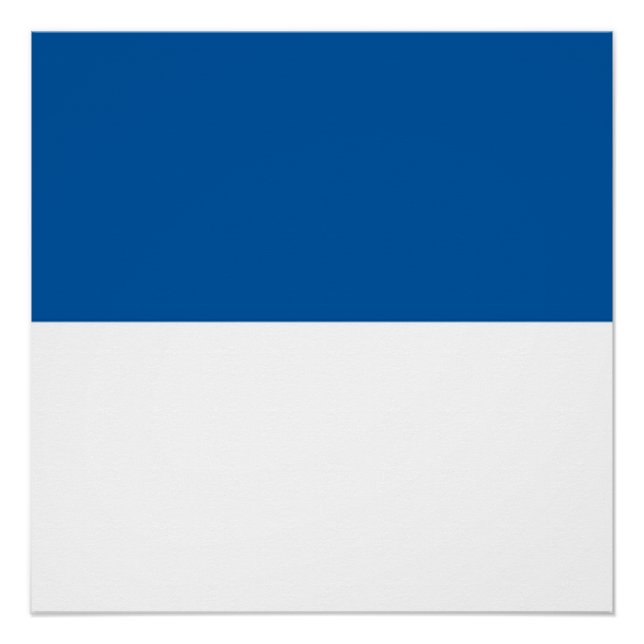 Poster Drapeau d'Assen (Devant)