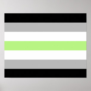 Poster Drapeau de fierté agender