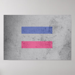 POSTER DRAPEAU DE FIERTÉ ANDROGYNE