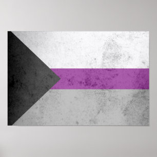 POSTER DRAPEAU DE FIERTÉ DÉSISEXUEL