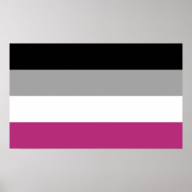 Poster Drapeau de fierté gynéphile (Devant)
