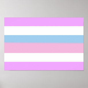 Poster Drapeau de fierté intersexe