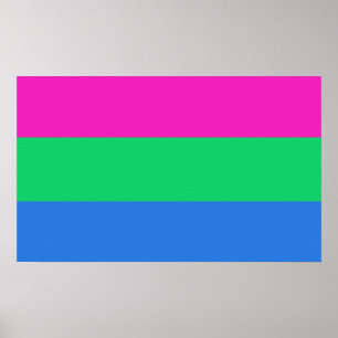Poster Drapeau de fierté polysexuelle