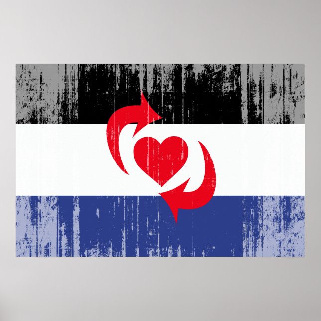 POSTER DRAPEAU DE FIERTE SWITCH (Devant)