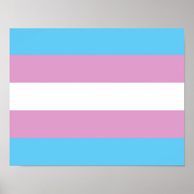 Poster Drapeau de fierté trans - (2) (Devant)