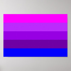 Poster Drapeau de fierté transgenre alternatif