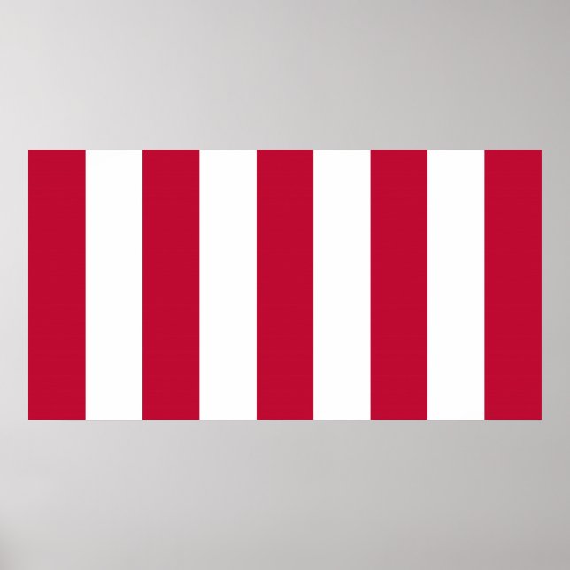 Poster Drapeau de la bande verticale des fils de la liber (Devant)