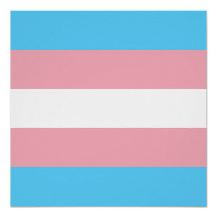 Poster Drapeau de la fierté transgenre - LGBT Rainbow