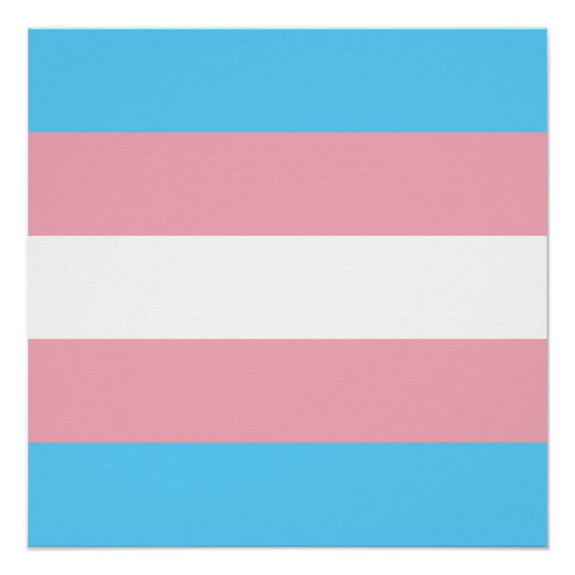Poster Drapeau de la fierté transgenre - LGBT Rainbow (Devant)
