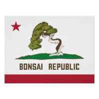 Drapeau de la République de Bonsai