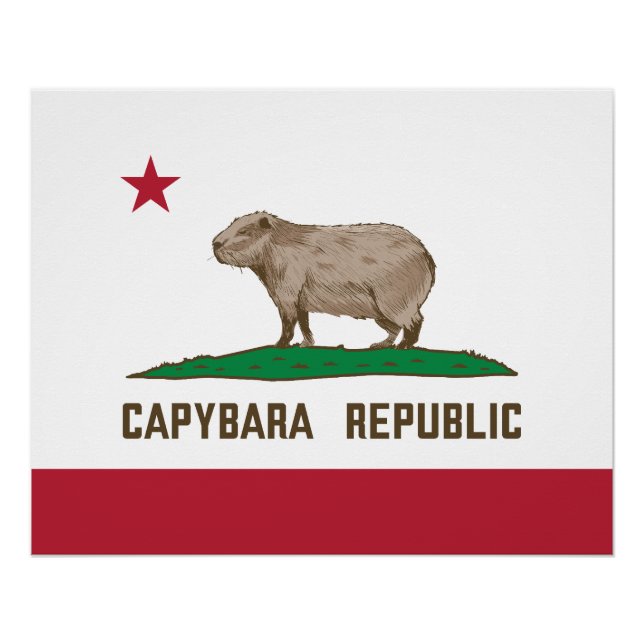 Poster Drapeau de la République de Capybara (Devant)