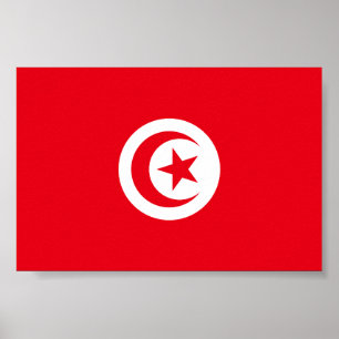 Poster Drapeau de la Tunisie
