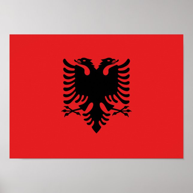 Poster Drapeau de l'Albanie - Flamuri Kombëtar - Drapeau  (Devant)
