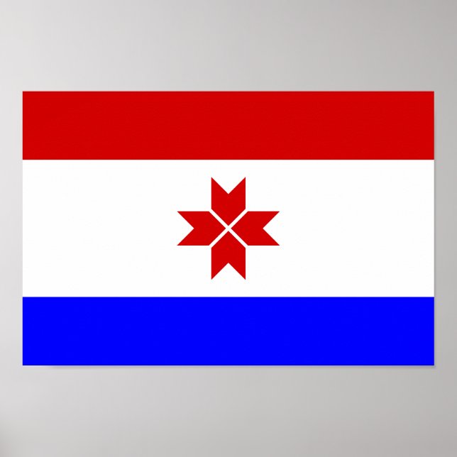 Poster Drapeau de Mordovie (Devant)