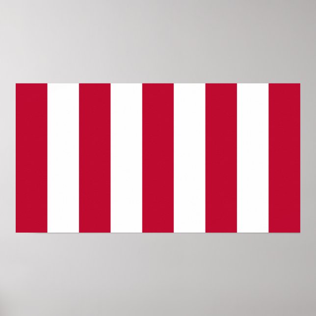 Poster Drapeau Des Fils De La Liberté 9 Des États-Unis (Devant)