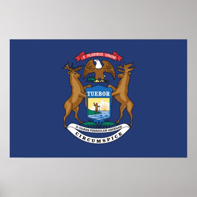 Poster Drapeau d'État du Michigan, États-Unis (Devant)