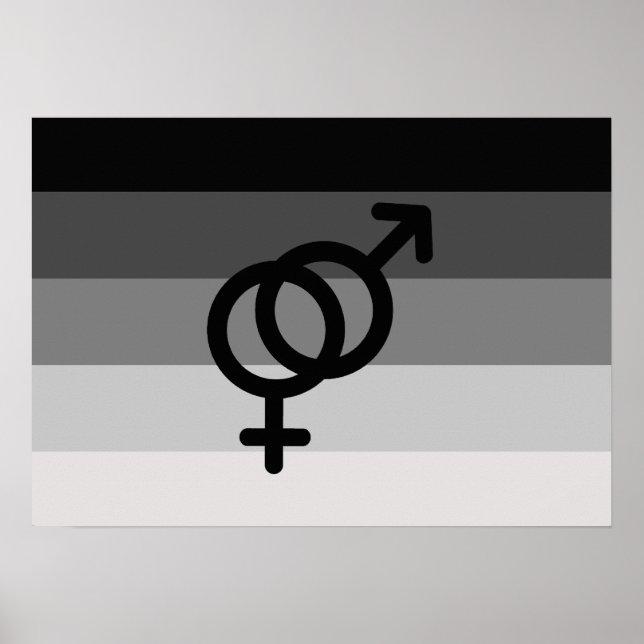 Poster DRAPEAU DROIT ORIGINAL AVEC SYMBOLE -.png (Devant)