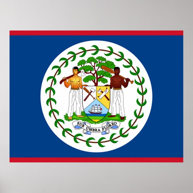 Poster Drapeau du Belize (Devant)